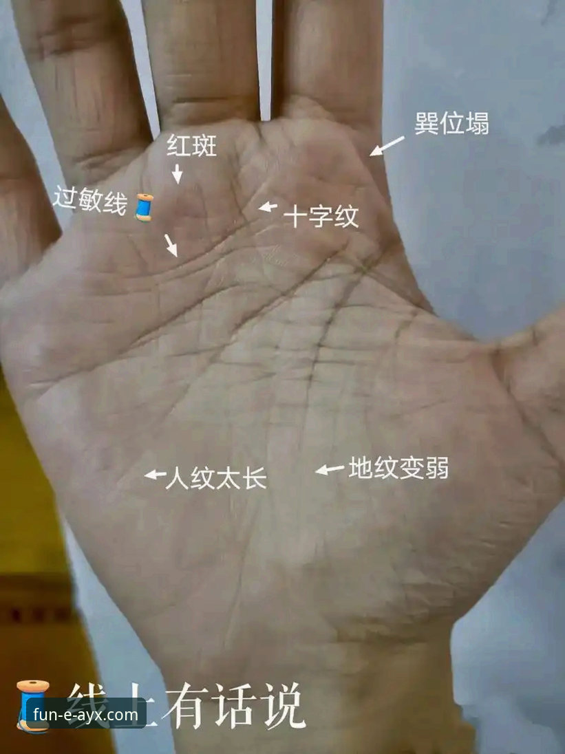 实战派老手深度解析：AYX爱游戏平台靠谱吗怎么样？我的真实使用心得